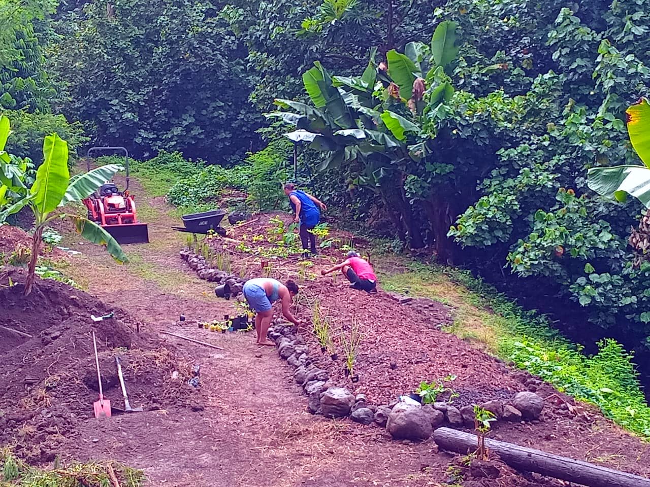 Préparation d'un potager en buttes