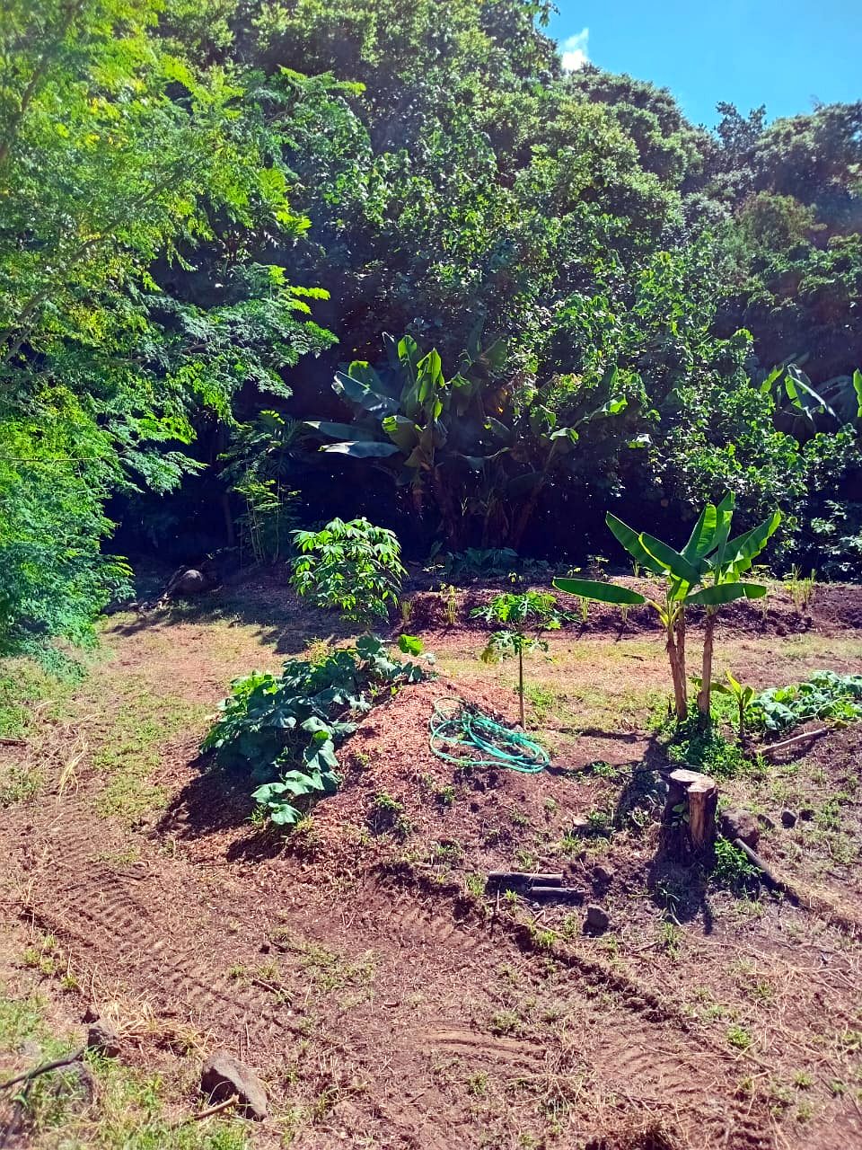 Terrassement d'un potager en pente