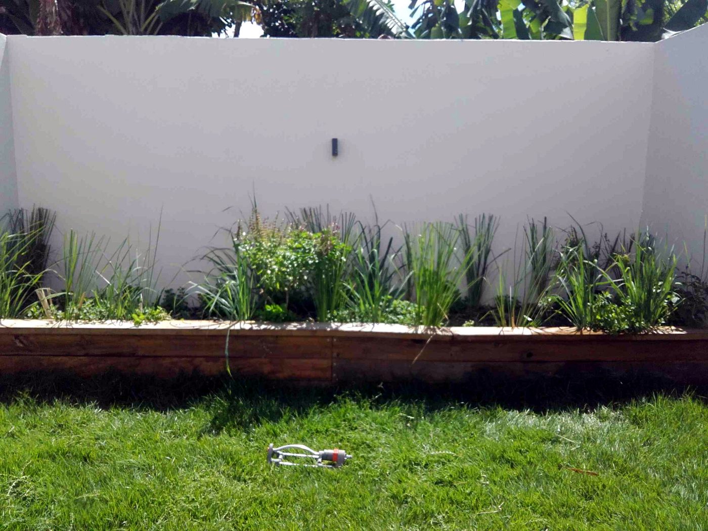 Jardinière en bois plantée