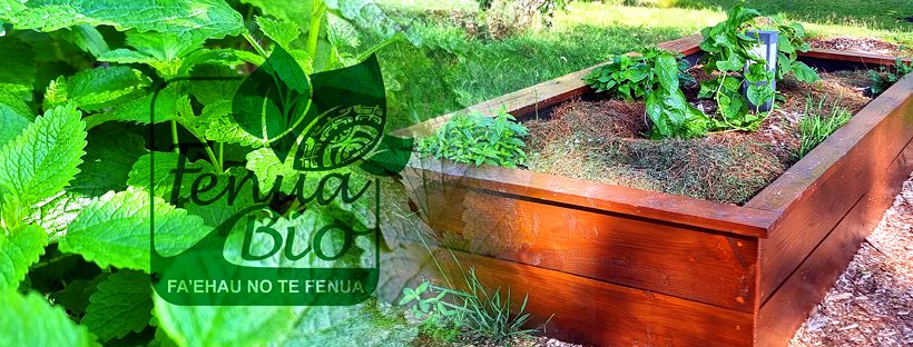 Jardinière plantée Fenua Bio